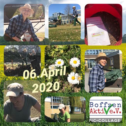 Insektenwiesen Aktion